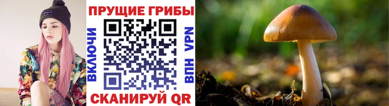 Псилоцибиновые грибы мицелий Анадырь